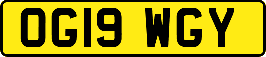 OG19WGY