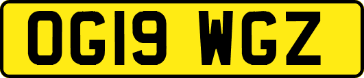 OG19WGZ