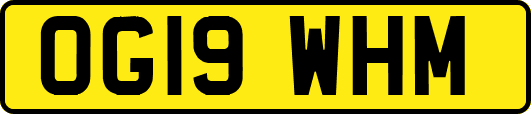OG19WHM