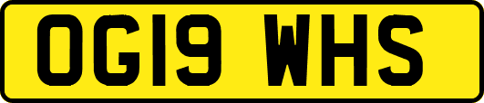 OG19WHS