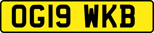 OG19WKB