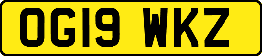 OG19WKZ