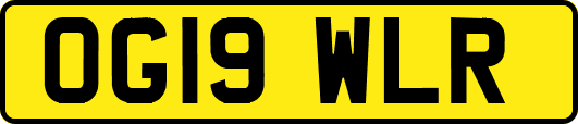 OG19WLR