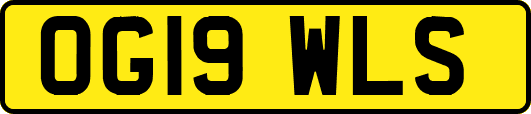 OG19WLS