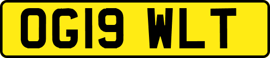 OG19WLT