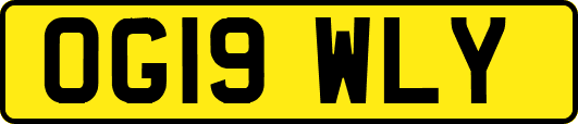 OG19WLY