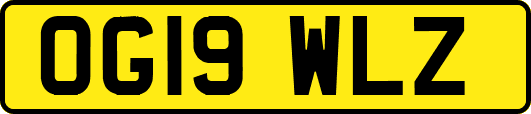 OG19WLZ