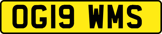 OG19WMS