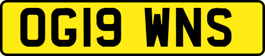 OG19WNS