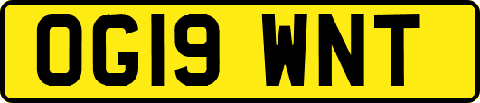 OG19WNT