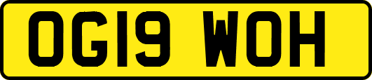 OG19WOH