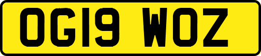 OG19WOZ