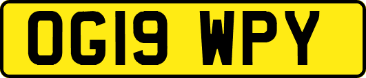 OG19WPY