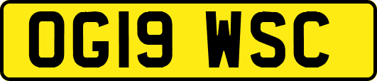 OG19WSC