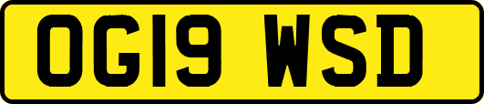 OG19WSD