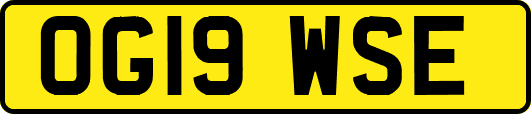 OG19WSE