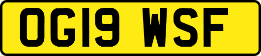 OG19WSF