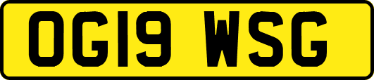 OG19WSG