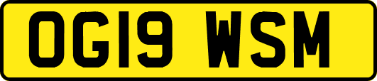 OG19WSM