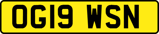 OG19WSN