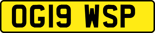 OG19WSP