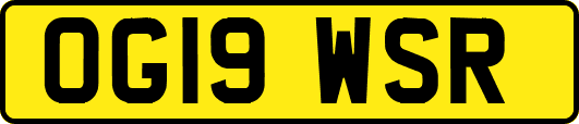 OG19WSR