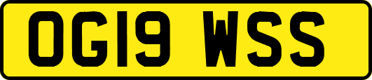 OG19WSS