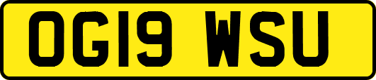OG19WSU