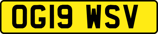 OG19WSV
