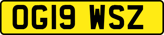 OG19WSZ