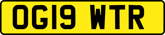 OG19WTR