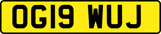 OG19WUJ