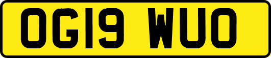 OG19WUO