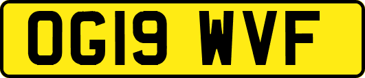 OG19WVF