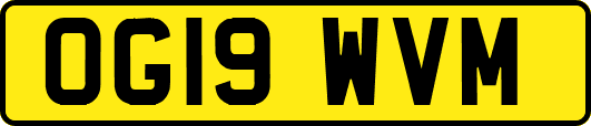 OG19WVM