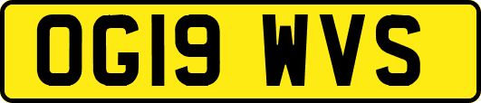 OG19WVS