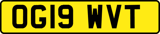 OG19WVT