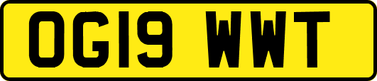 OG19WWT