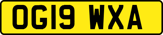 OG19WXA