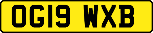 OG19WXB