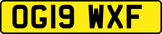 OG19WXF