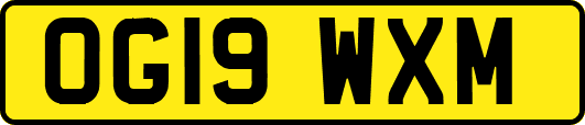 OG19WXM