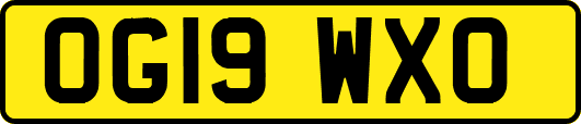 OG19WXO