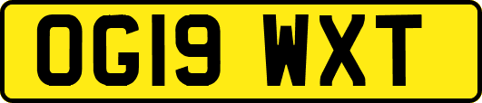 OG19WXT