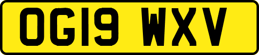 OG19WXV