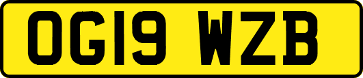 OG19WZB