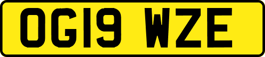 OG19WZE
