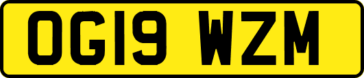 OG19WZM
