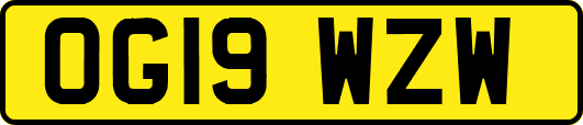OG19WZW
