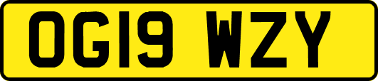 OG19WZY